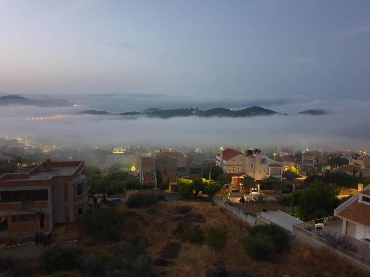 Stergiou Luxury Apartments With Shared Pool Anavyssos Dış mekan fotoğraf