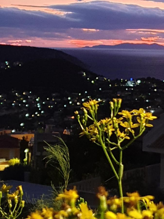 Stergiou Luxury Apartments With Shared Pool Anavyssos Dış mekan fotoğraf